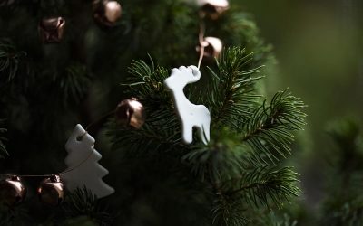 Rauhallista joulunaikaa ja onnellista uutta vuotta 2019!